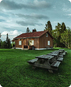 Cool in the deep forest