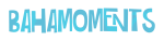 Primary Logo 4